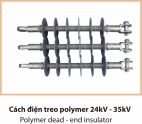 CÁCH ĐIỆN TREO POLYMER